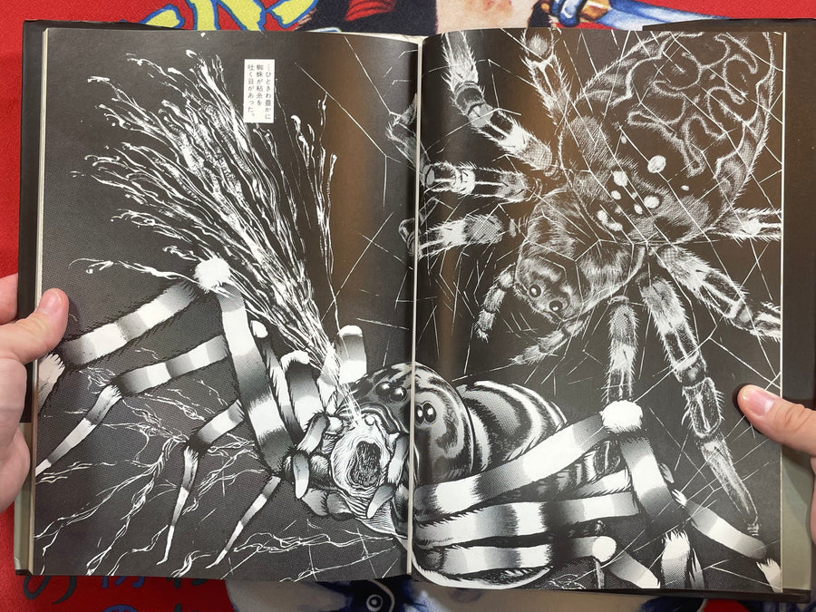 Peacock Organ Pt 1 by Kazuhiko Miyaya (1983)