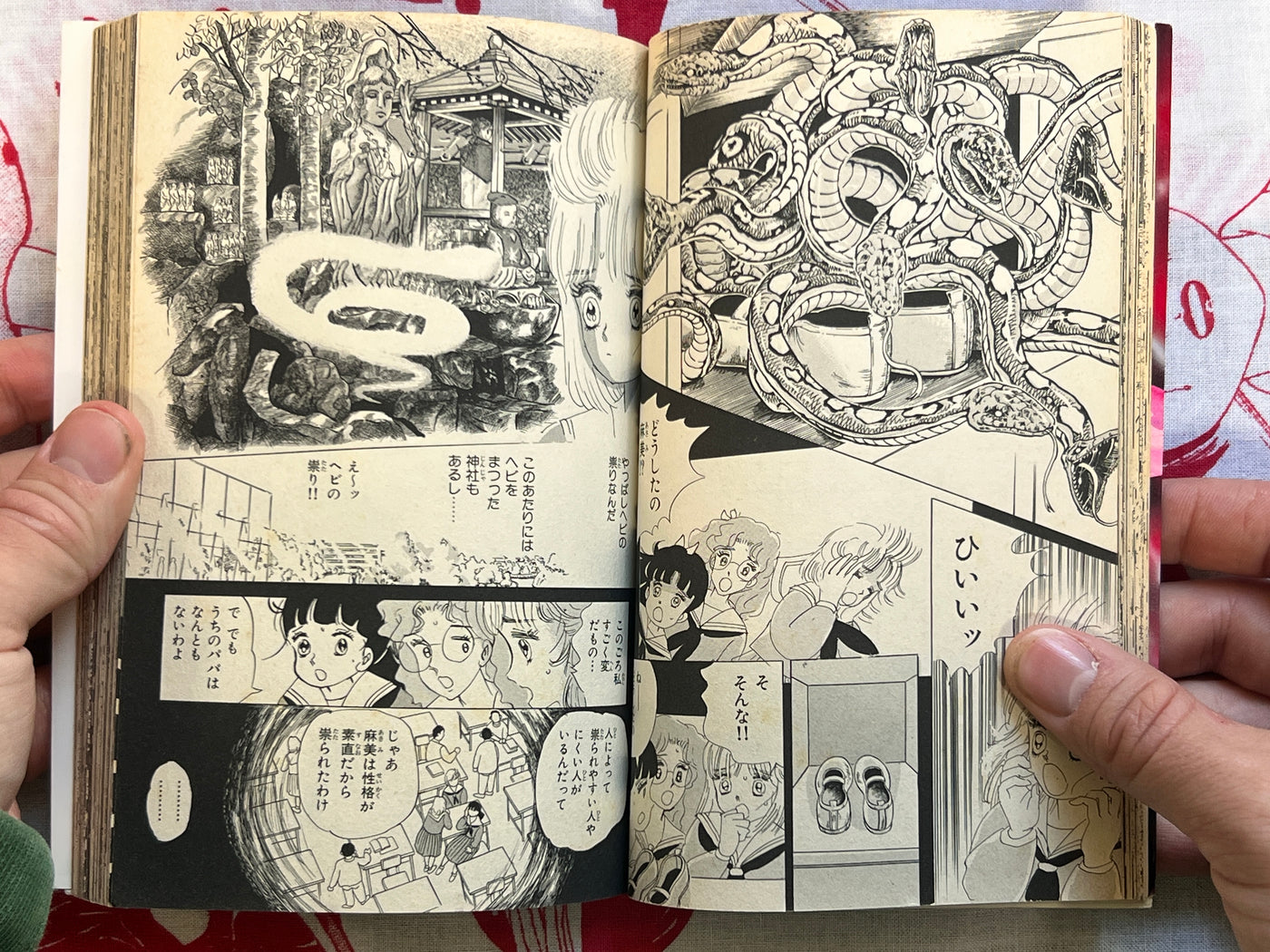 Scary Eyed Monster by Yumeji Tanima (1994)