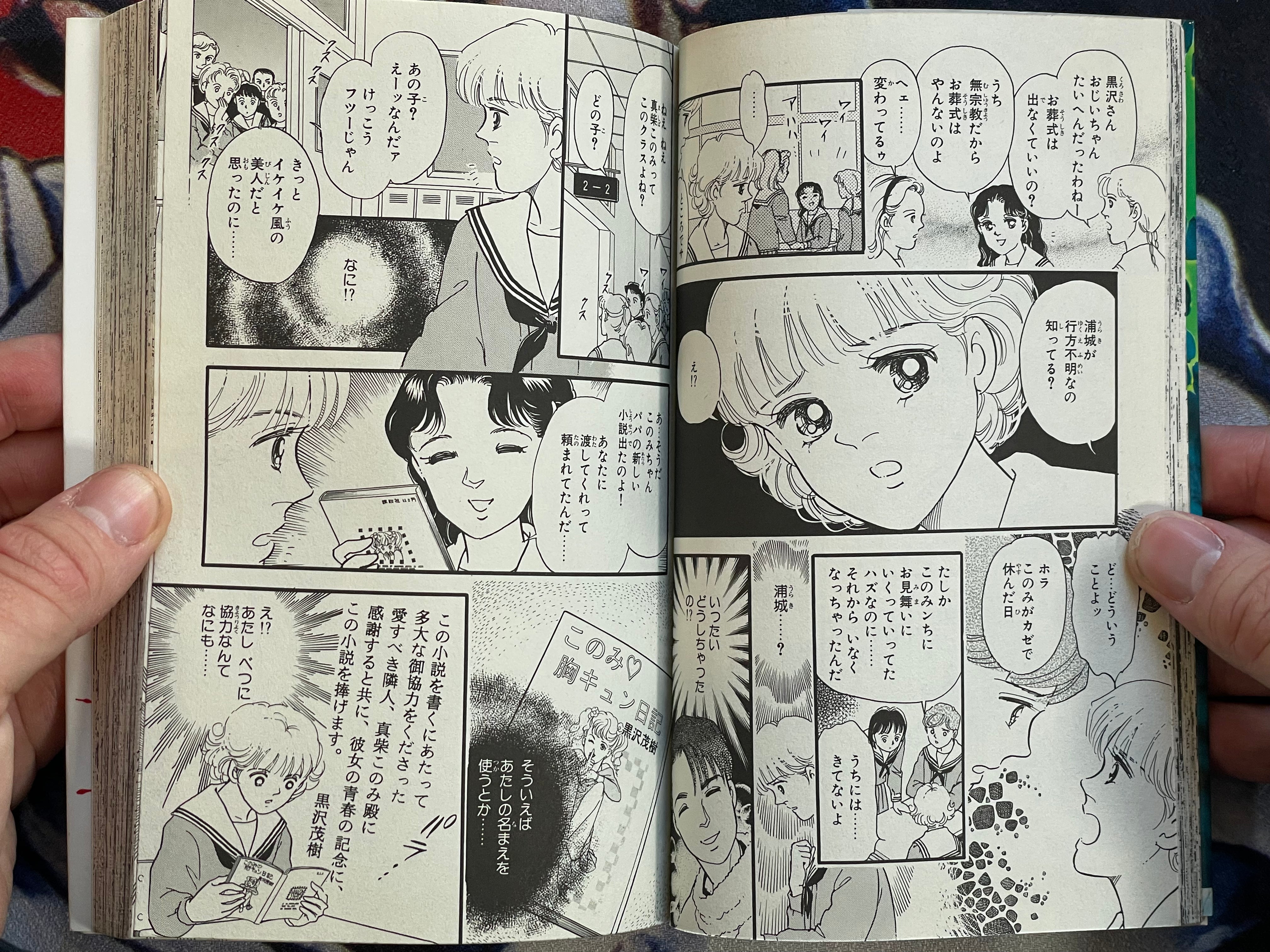 Mad House by Yoshimi Seki (1995)