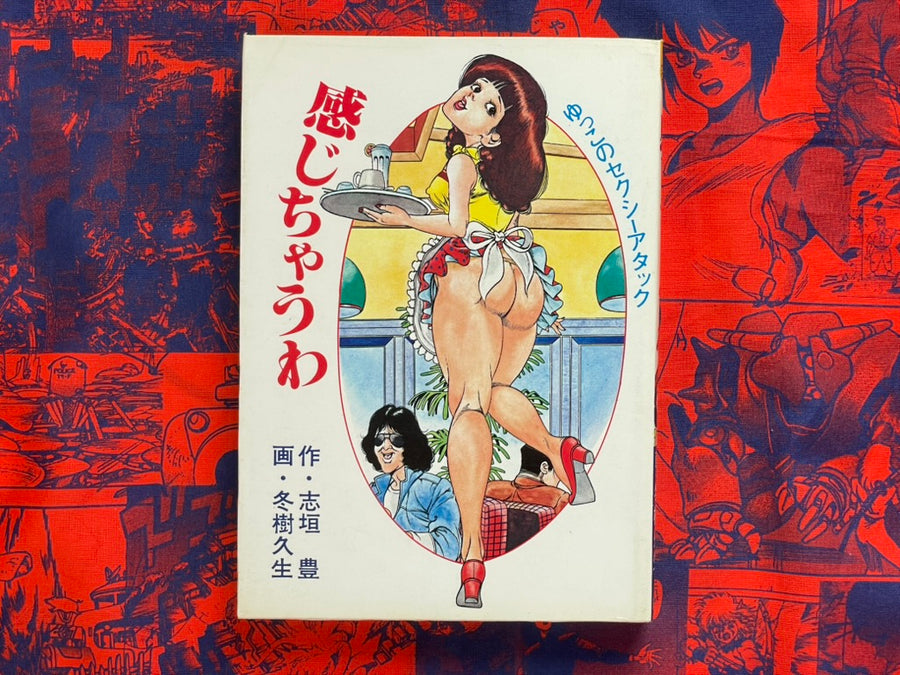 I Feel It by Fuyuki Hisao (1981)