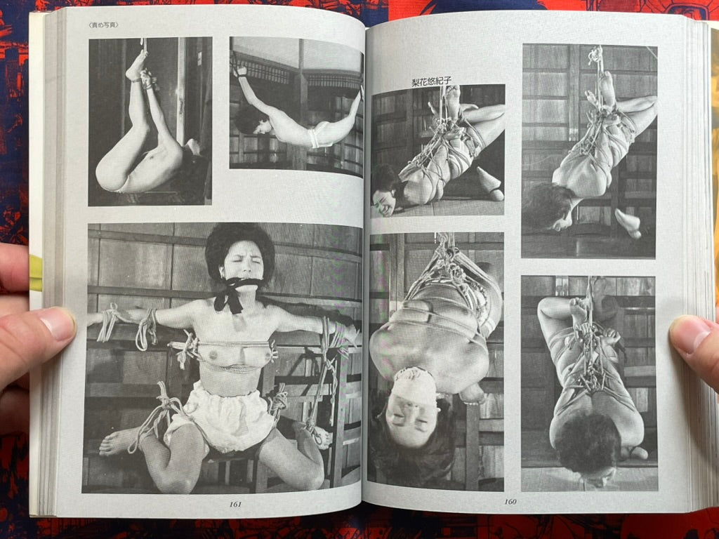 Mr. Y's Treasured Collection (2001)