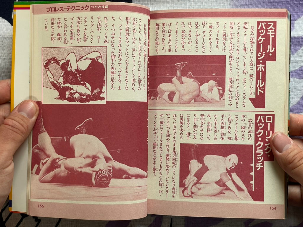Pro Wrestling Finishing Move Technique by Big Wrestler (1984)