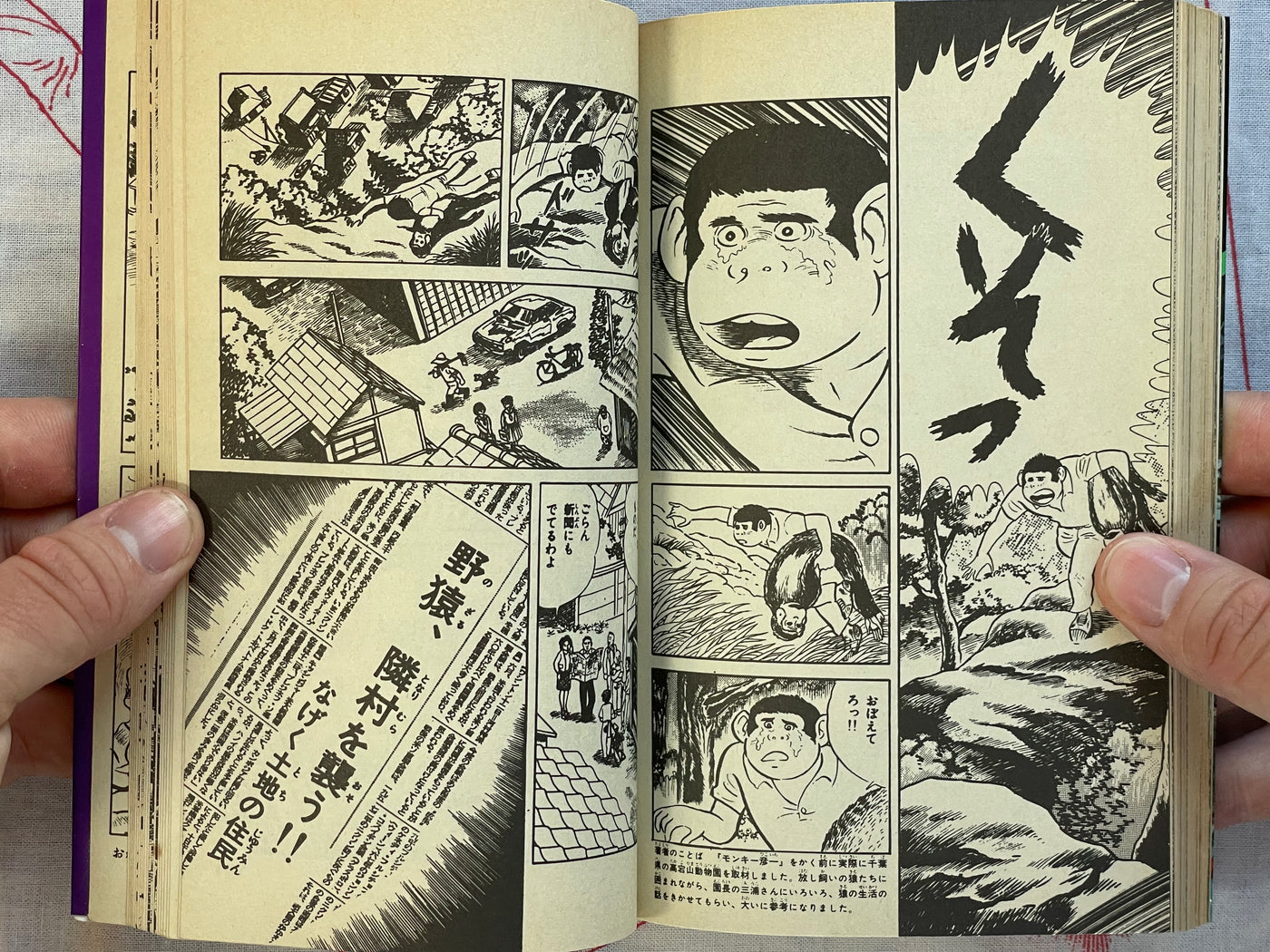 Evil Spirit Fox Mansion by Koga Shinichi (1976)