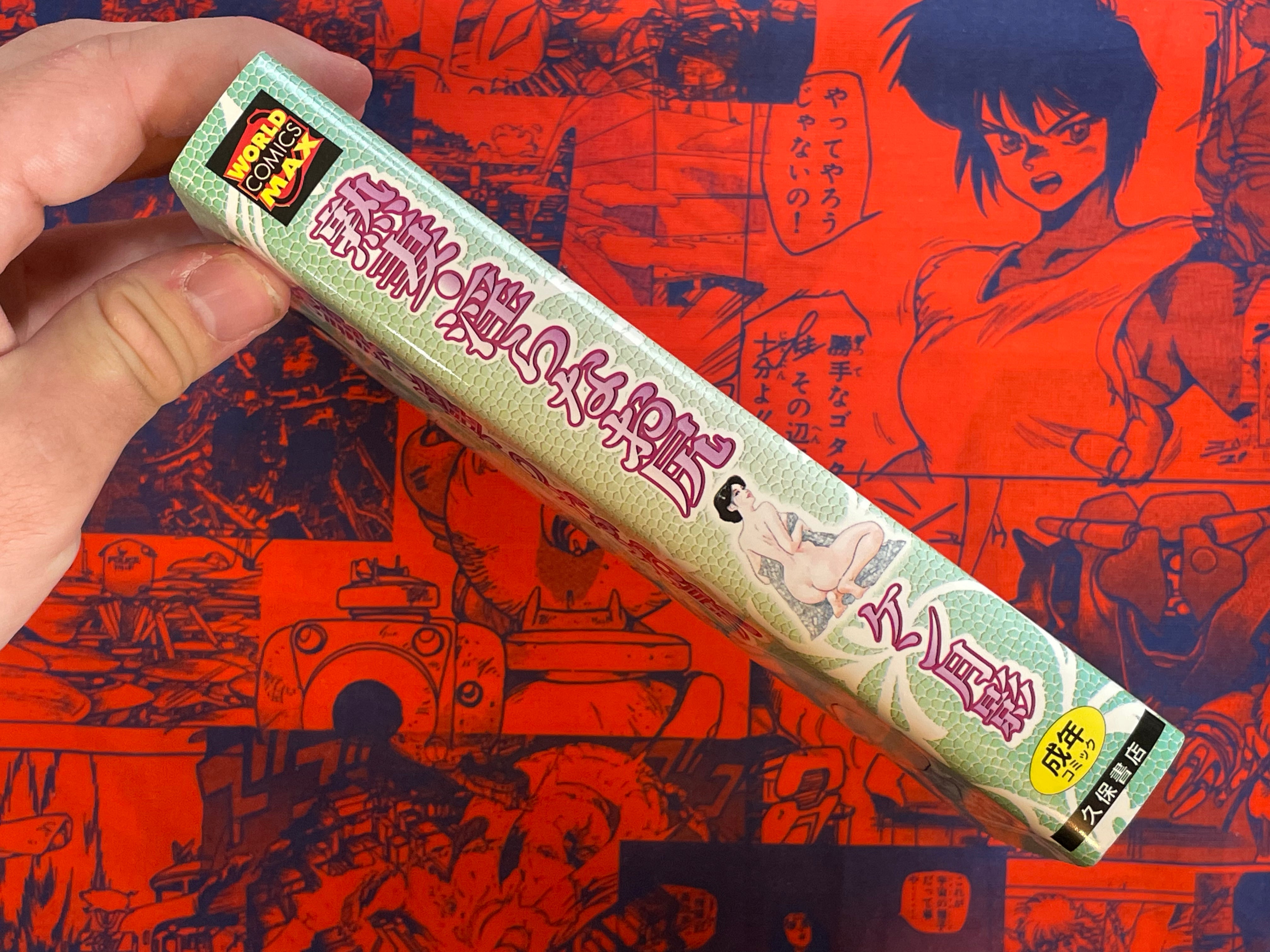 Mature Wife Lewd Ass by Ken Tsukikage (2005)