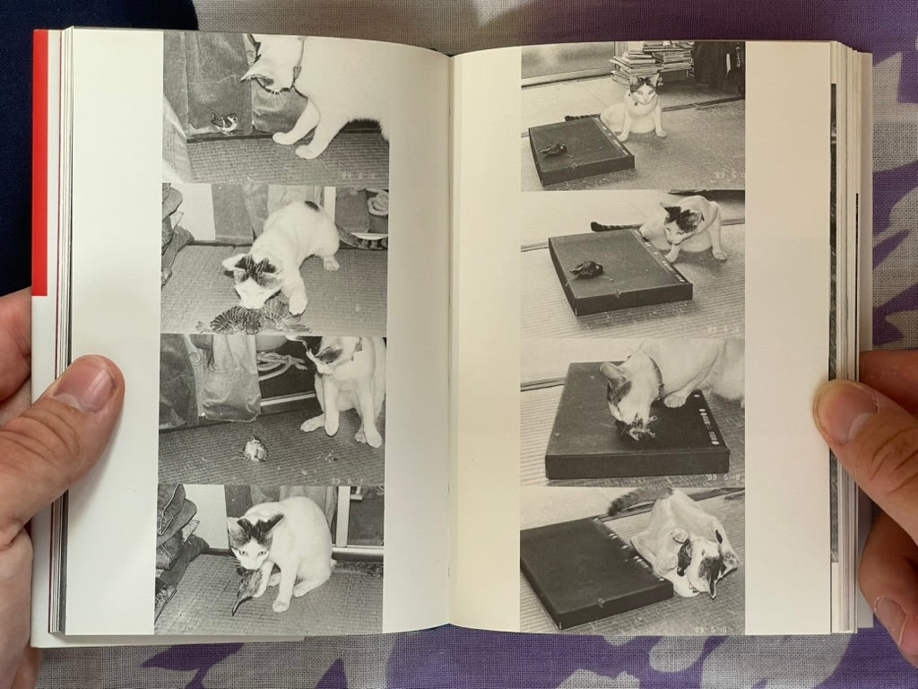 Chiro, My Love - (Bunko Edition) Hardcover by Nobuyoshi Araki (2007)