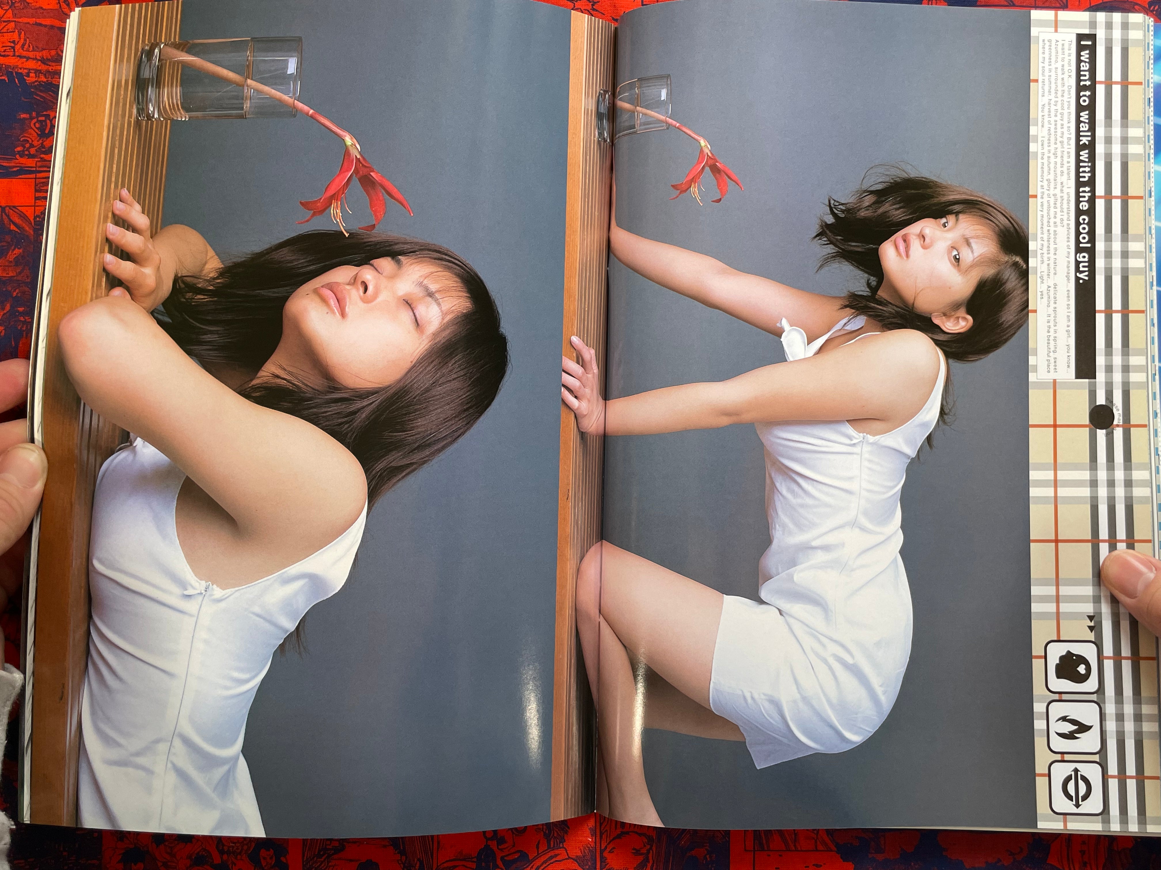 Monthly Shincho Mook: Otoha (2001)