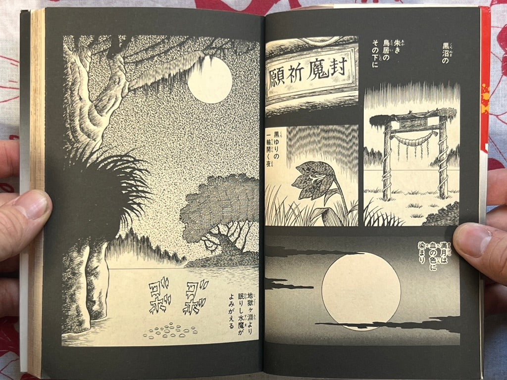 Lullaby of the Dead by Hideshi Hino (1988)