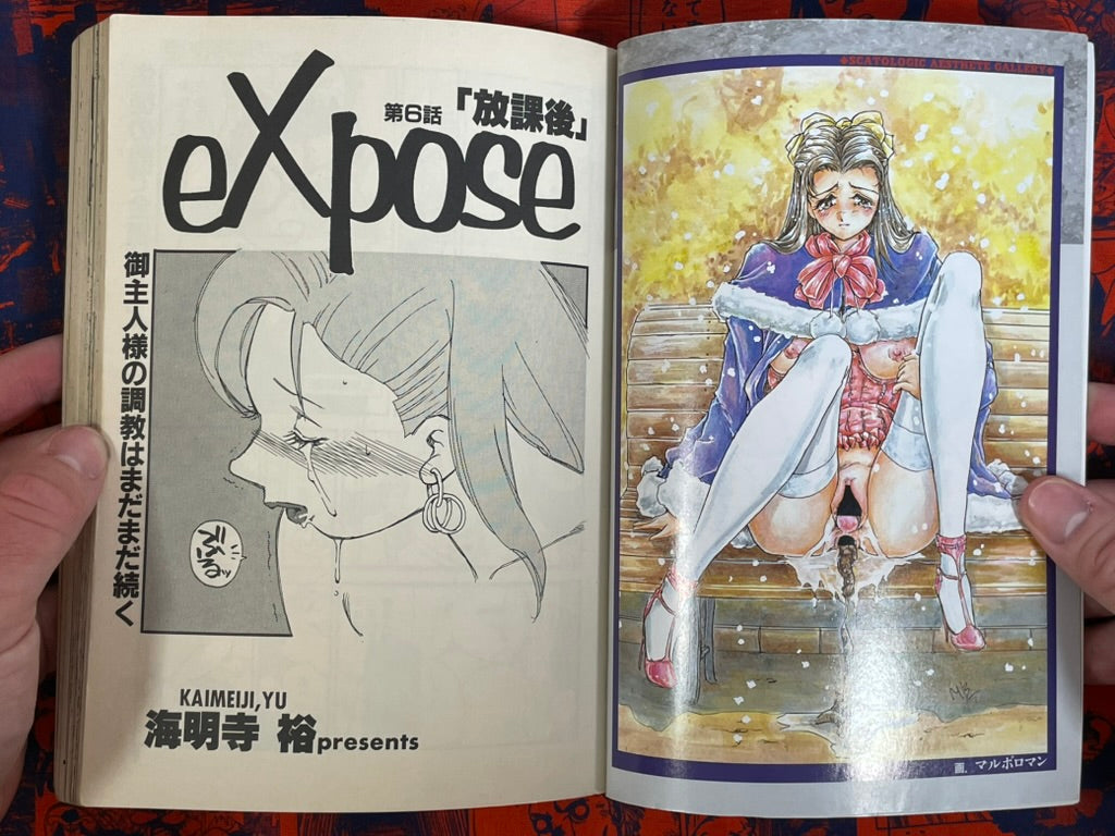 Flamingo Magazine (6/1995)