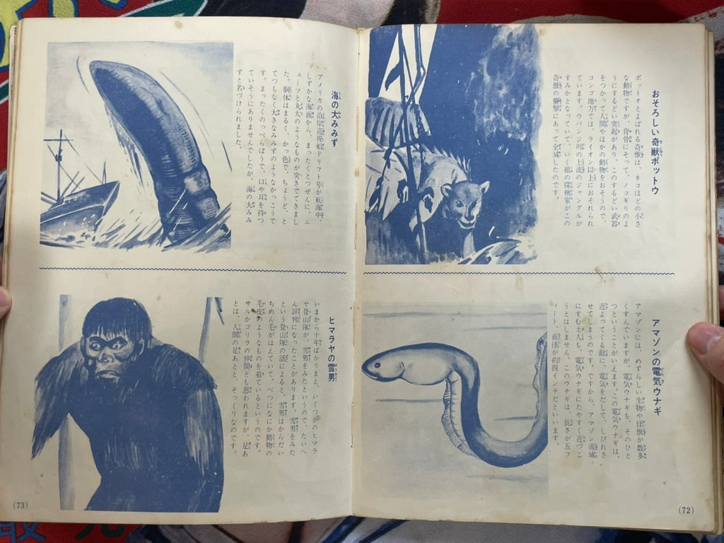 World Kaiju Encyclopedia w/ mini sonosheet - Hardcover (1969)-thumbmail-16