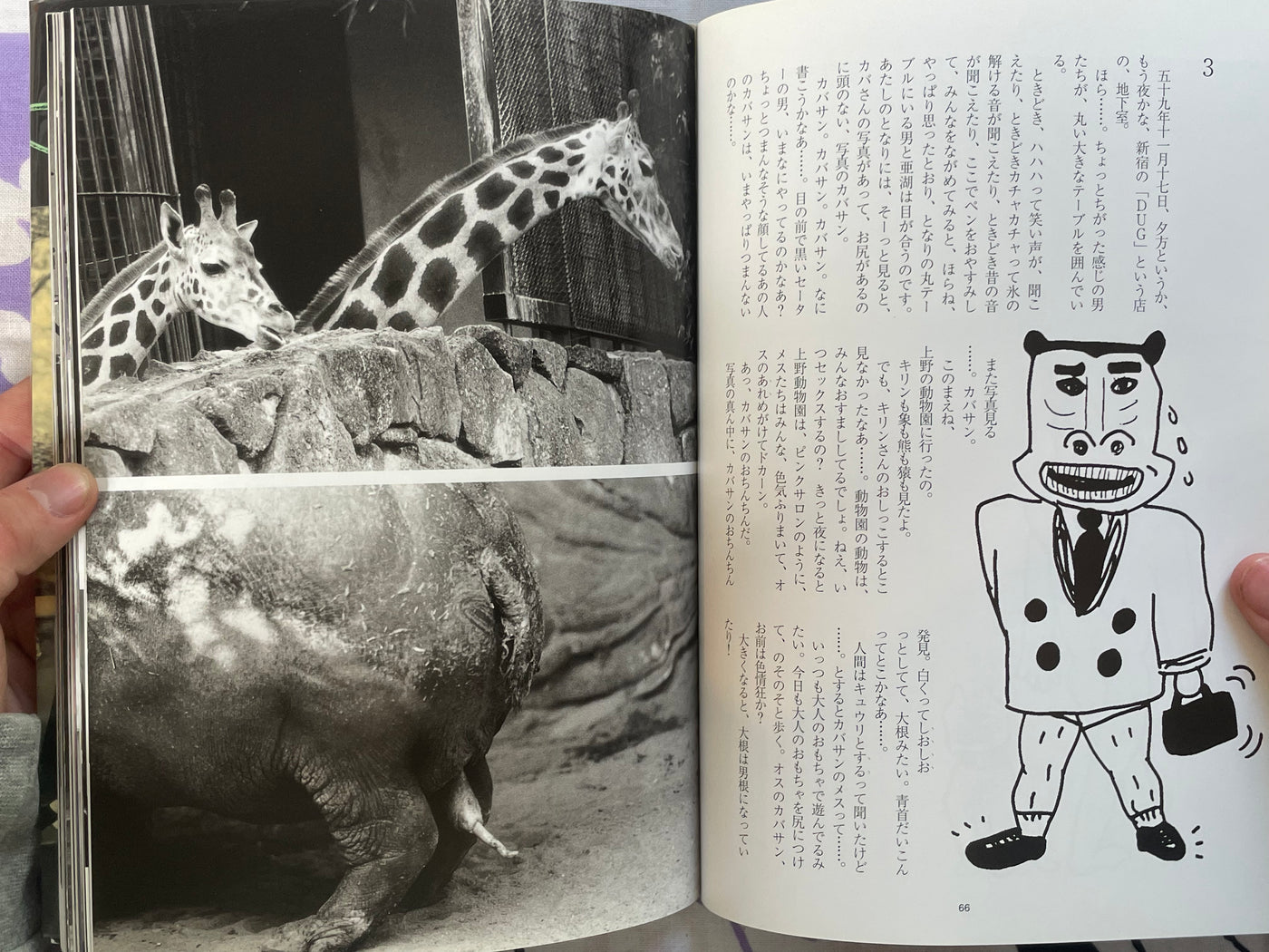 Arakigraph by Nobuyoshi Araki (1986)