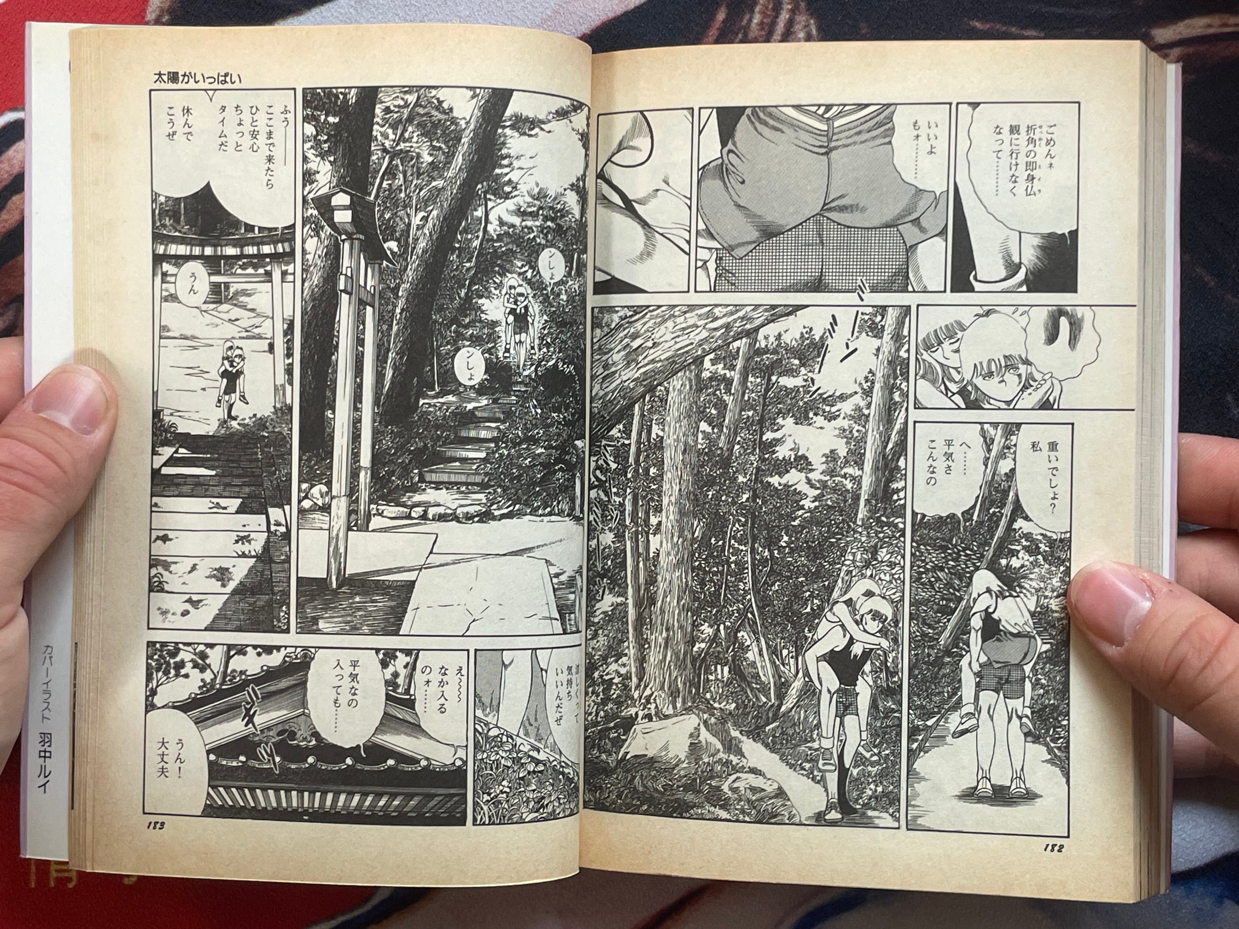 A Devil Like Me by Hachu Rui (1990)