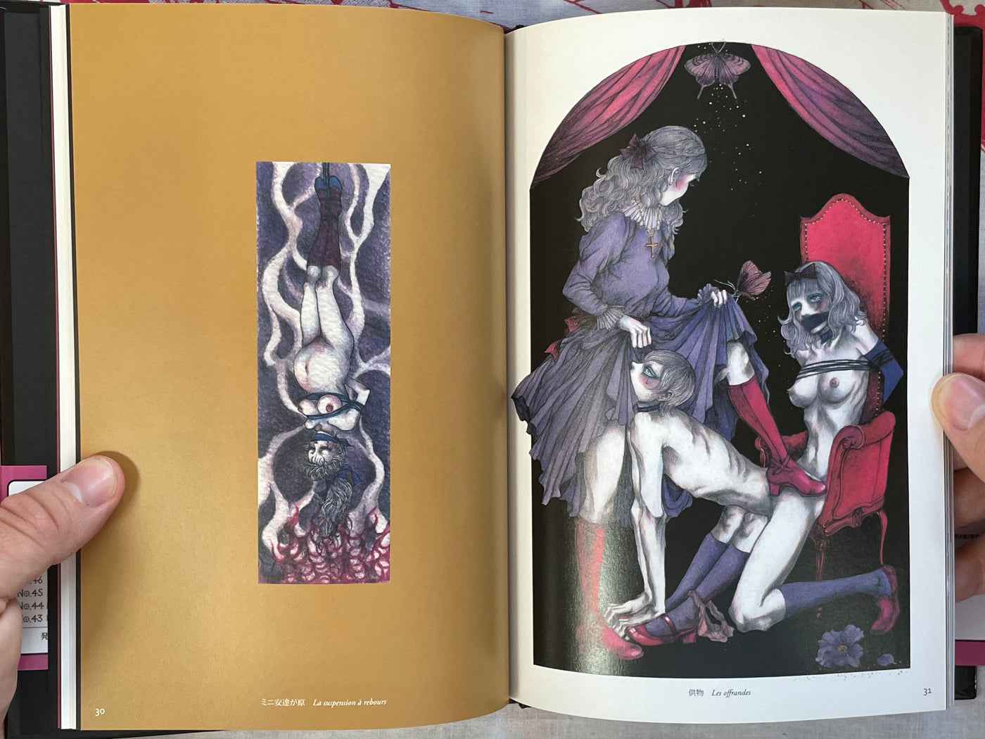 L'aventure de Mademoiselle Pipi by Saori Furukawa (2011)