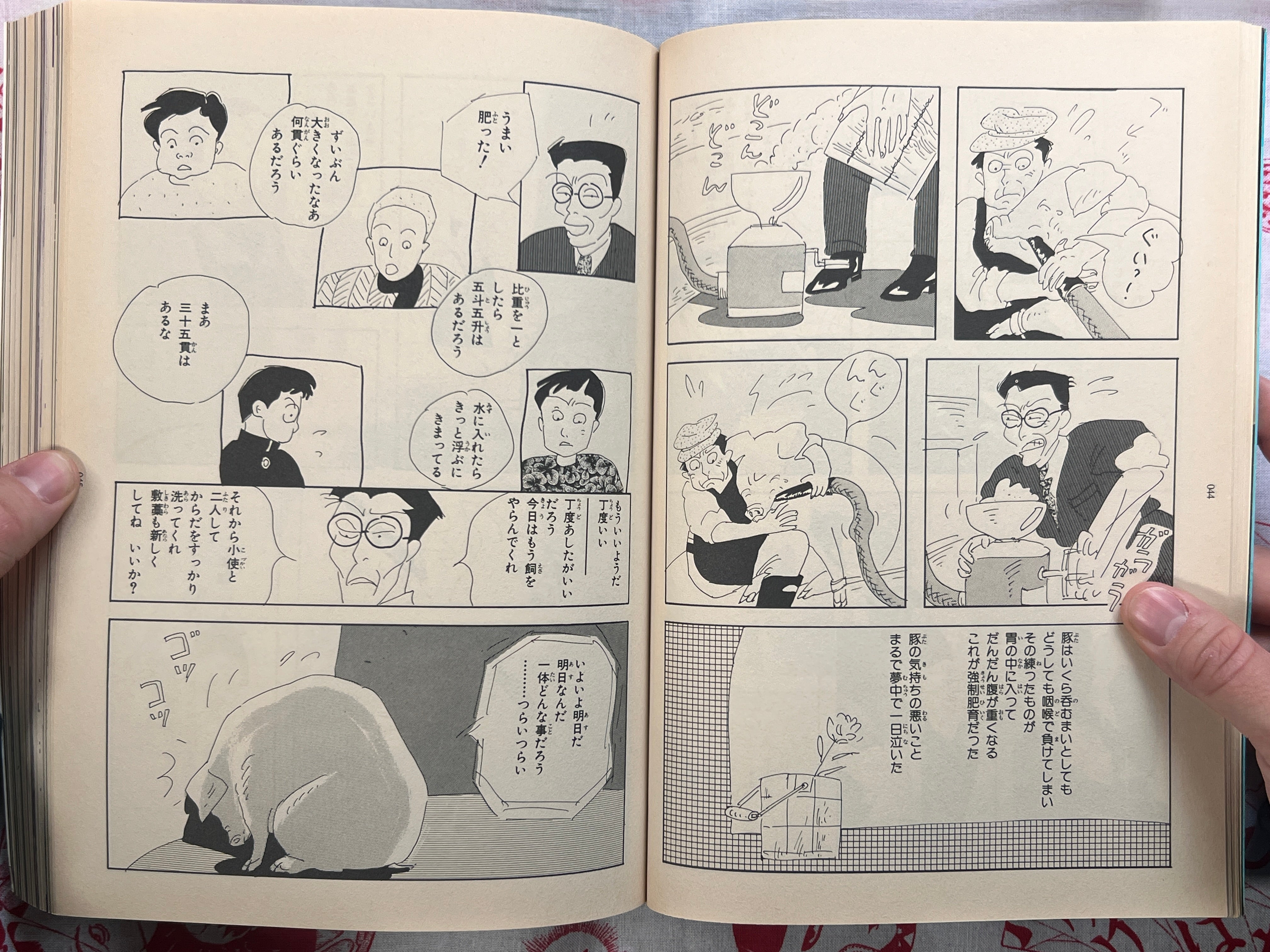 Garo Magazine Miyazawa Kenji Issue (9/1995)