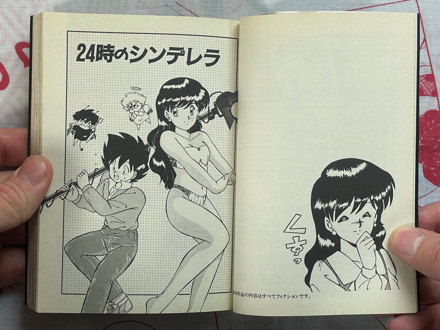 Private Caution - bunko size by Akifuji Satoshi (1991)