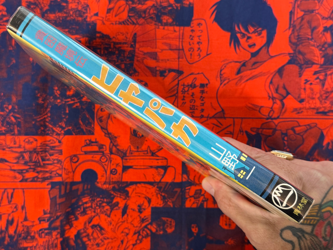Hiyapaka by Hajime Yamano (1996)