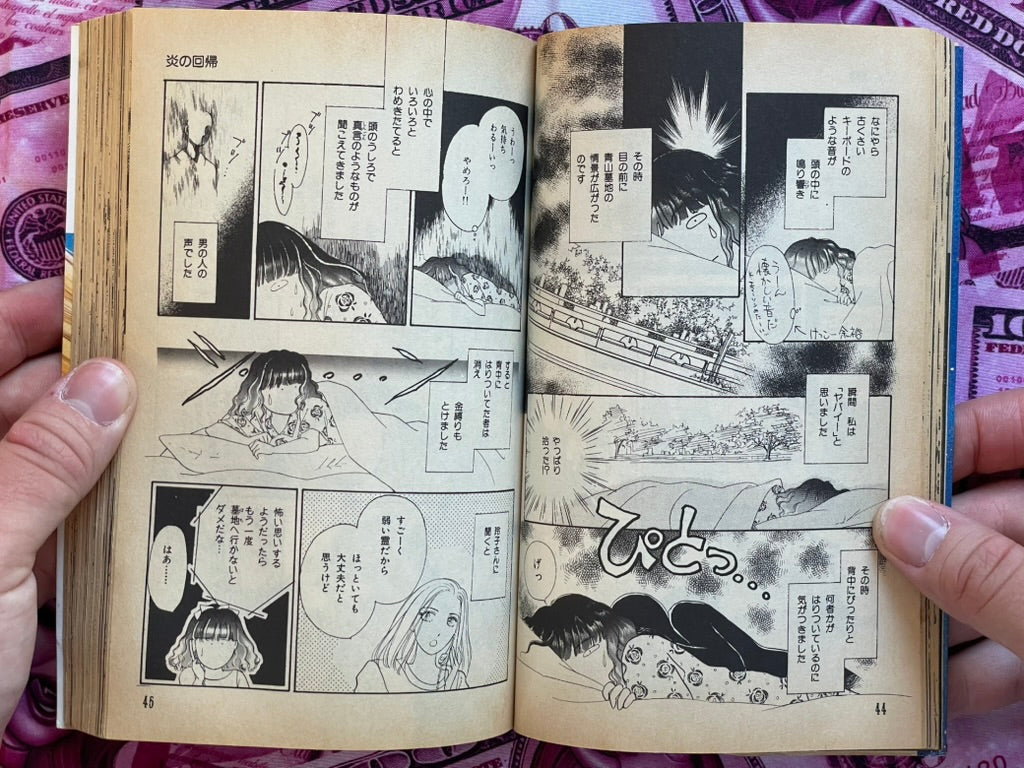 The Boy Who Became a Star by Mayuri Yamamoto (1993)
