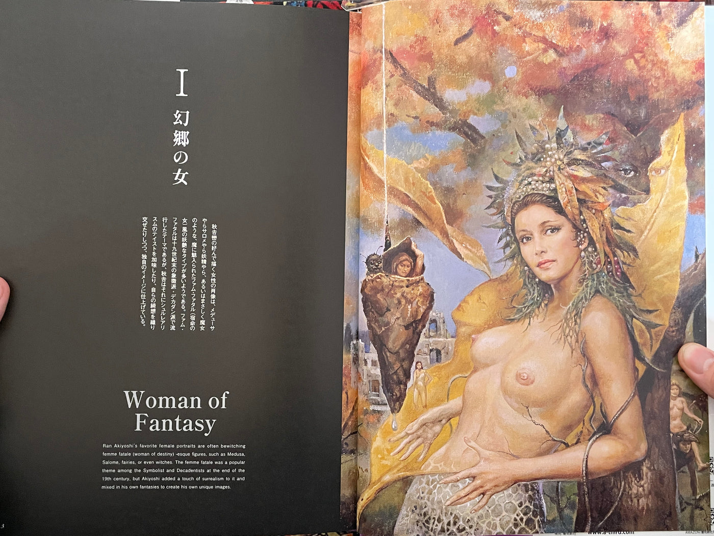 Ran Akiyoshi Illusory Works: Faraway Primordial Illusions - Hardcover (2025)
