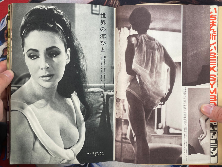 World Pinky Actress Collection 3: Erotic Films of 1966 by Modern Film Research Institute (1967)