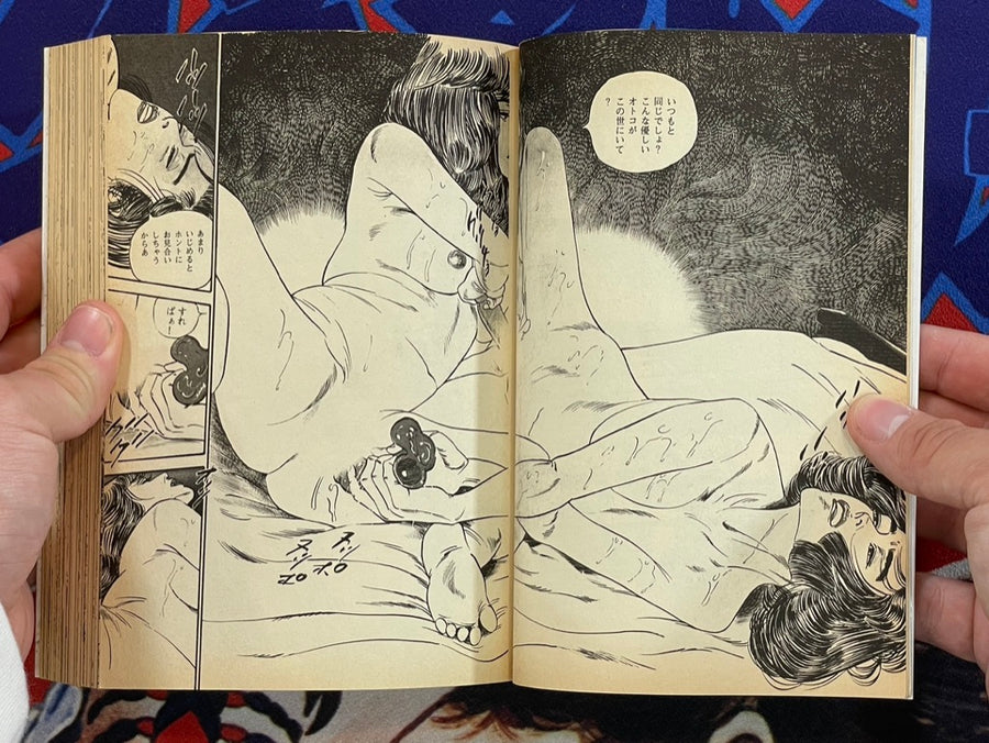 Trembling Night by Takashi Ishii (1991)