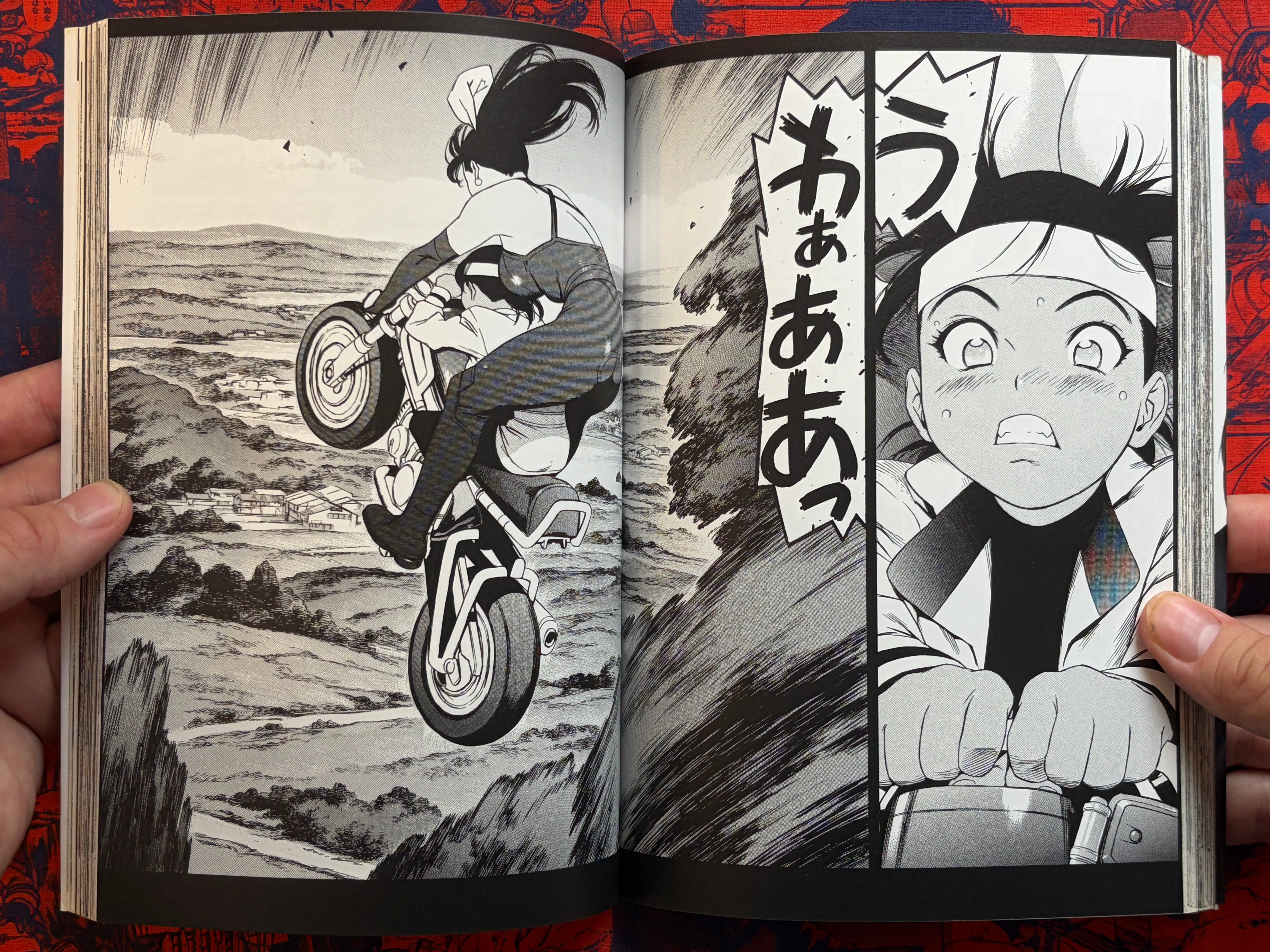 One-Eyed Beast Mitsuyoshi 1-3 Full Set by Tetsuro Ueyama (2003)-thumbmail-8