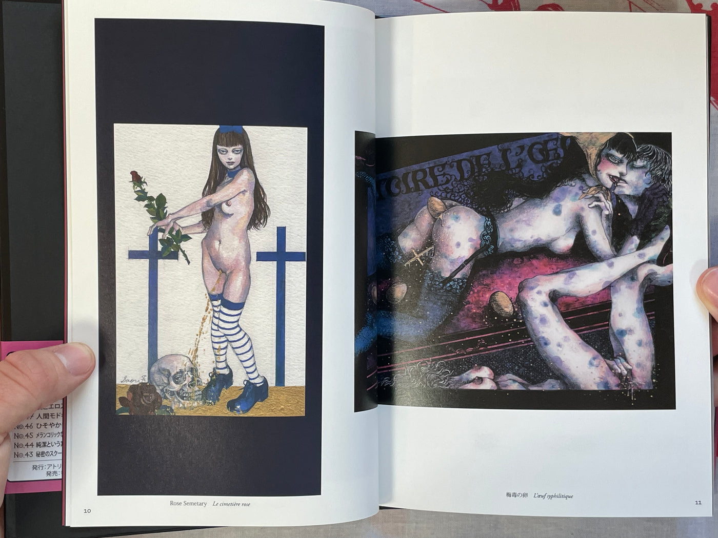 L'aventure de Mademoiselle Pipi by Saori Furukawa (2011)