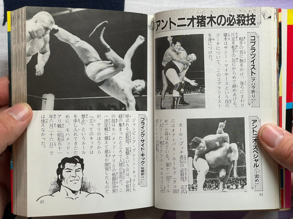 Pro Wrestling Everything All Together - Bunko Edition by Inoue Yoshihiro (1984)