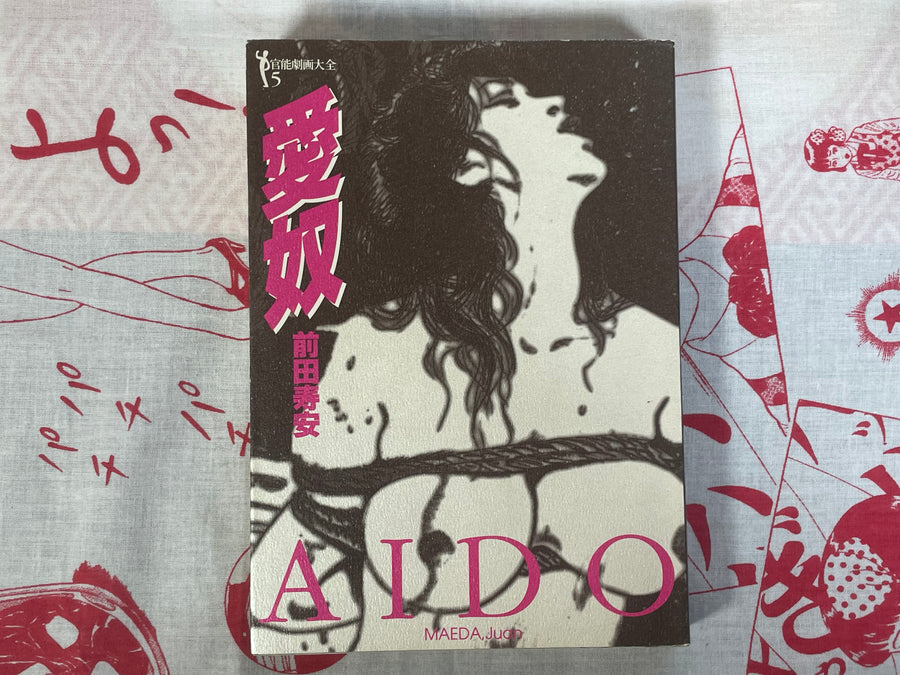 AIDO by Maeda Juan (1999)