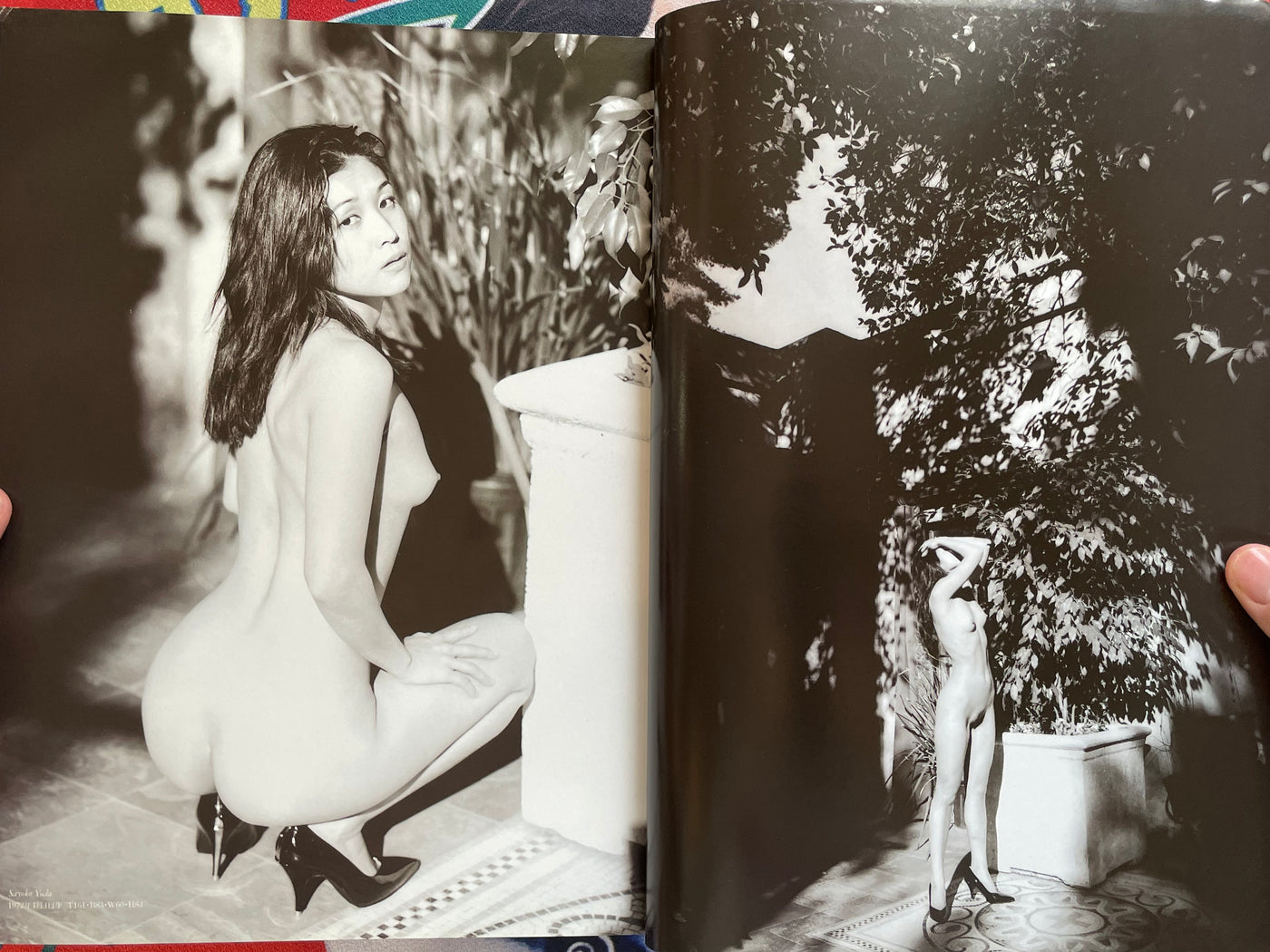 Big 4 Magazine Vol.11 (6/1994)