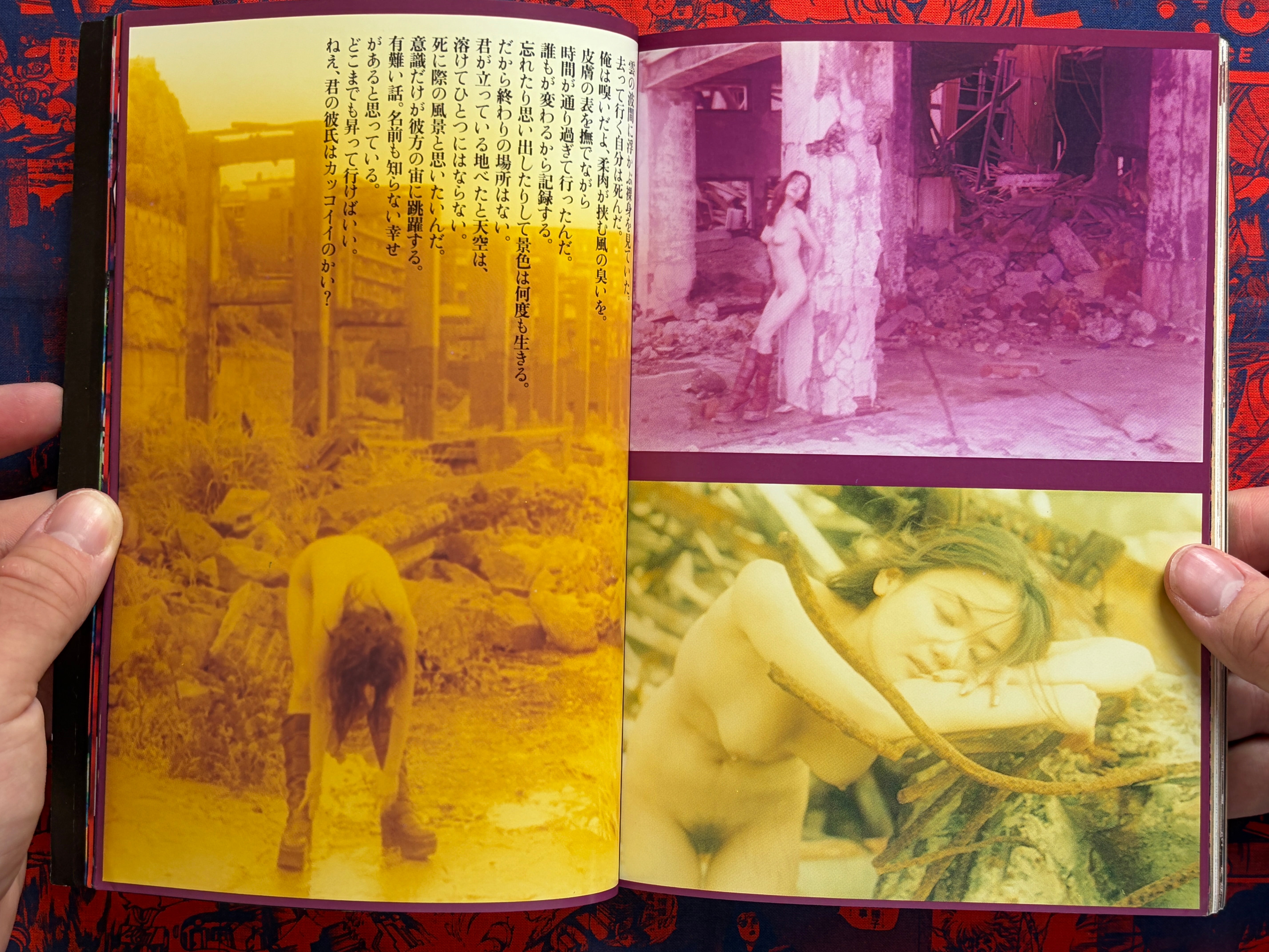 Anatomia Magazine Vol. 7 (1997)