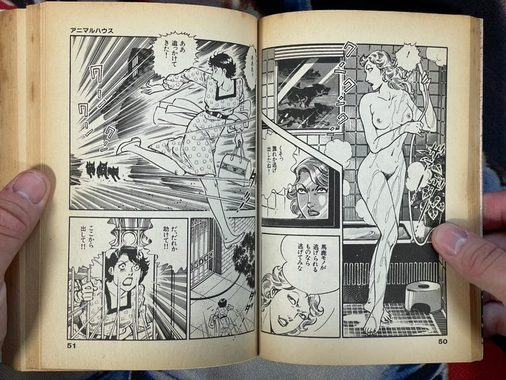 Zebra #2 by Shinohara Tooru (1990)