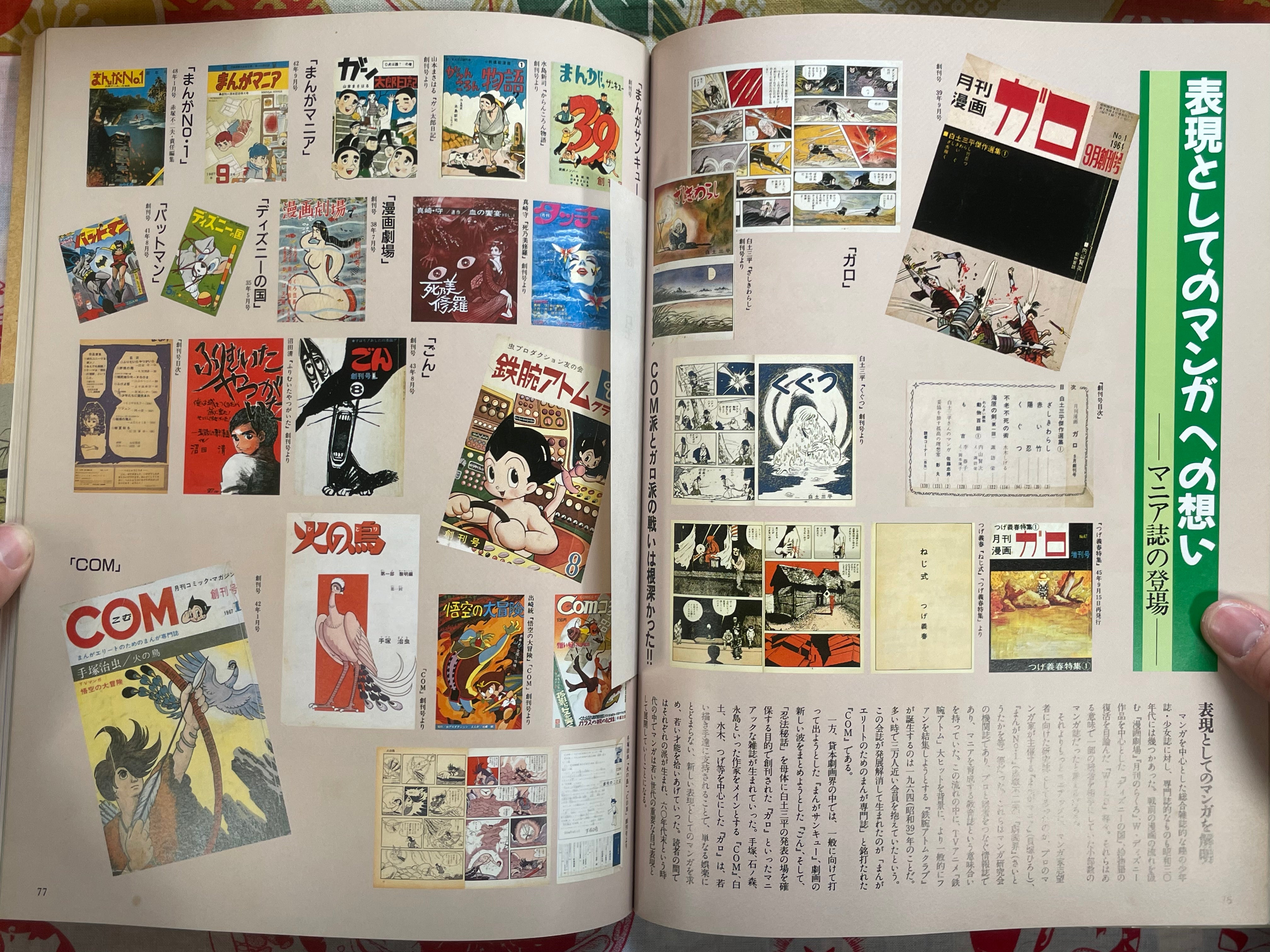 Bessatsu Taiyou: Childrens Showa History of 1945-1960 Ultraman Issue (1990)