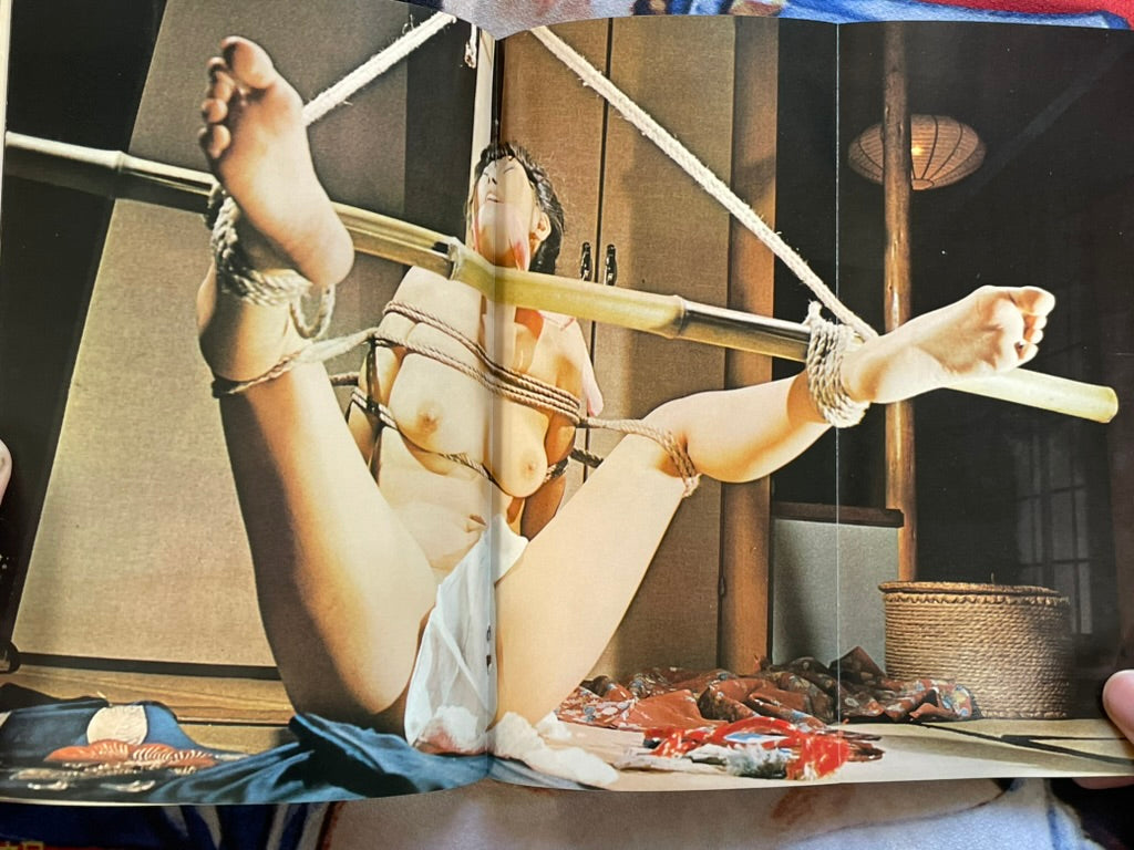 SM Collector (1973/12)-thumbmail-7