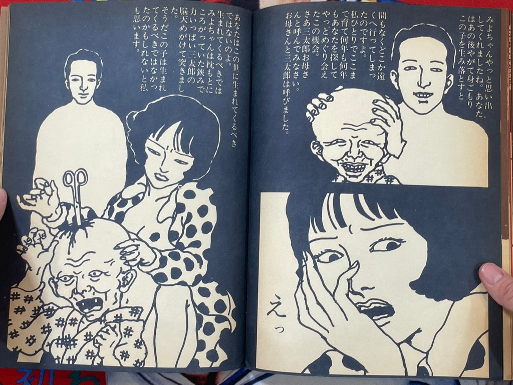 Saeki Toshio Collection by Gakugeishorin Publishing (1970)