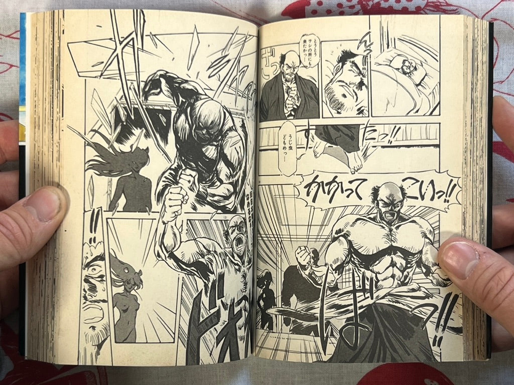 Teacher Otome's Private Instruction - bunko size by Denkosekka Go (1994)