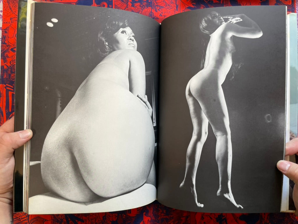 Fairies, Witches & Beauties: Yasuhiro Yagi Nude Photo Collection (1965)
