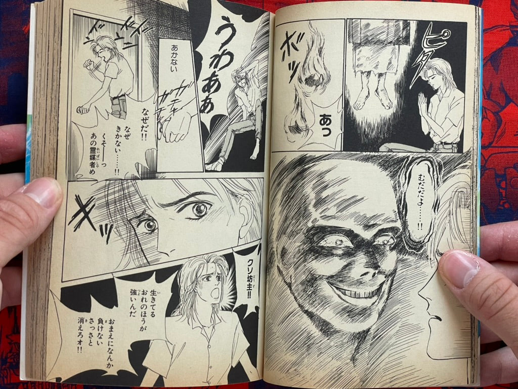 Evil Spirit World by Maiko Asano (1992)