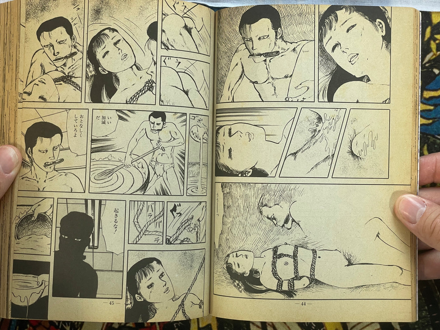Young Girl Yumemachigusa by Shinichi Muraso (1984)