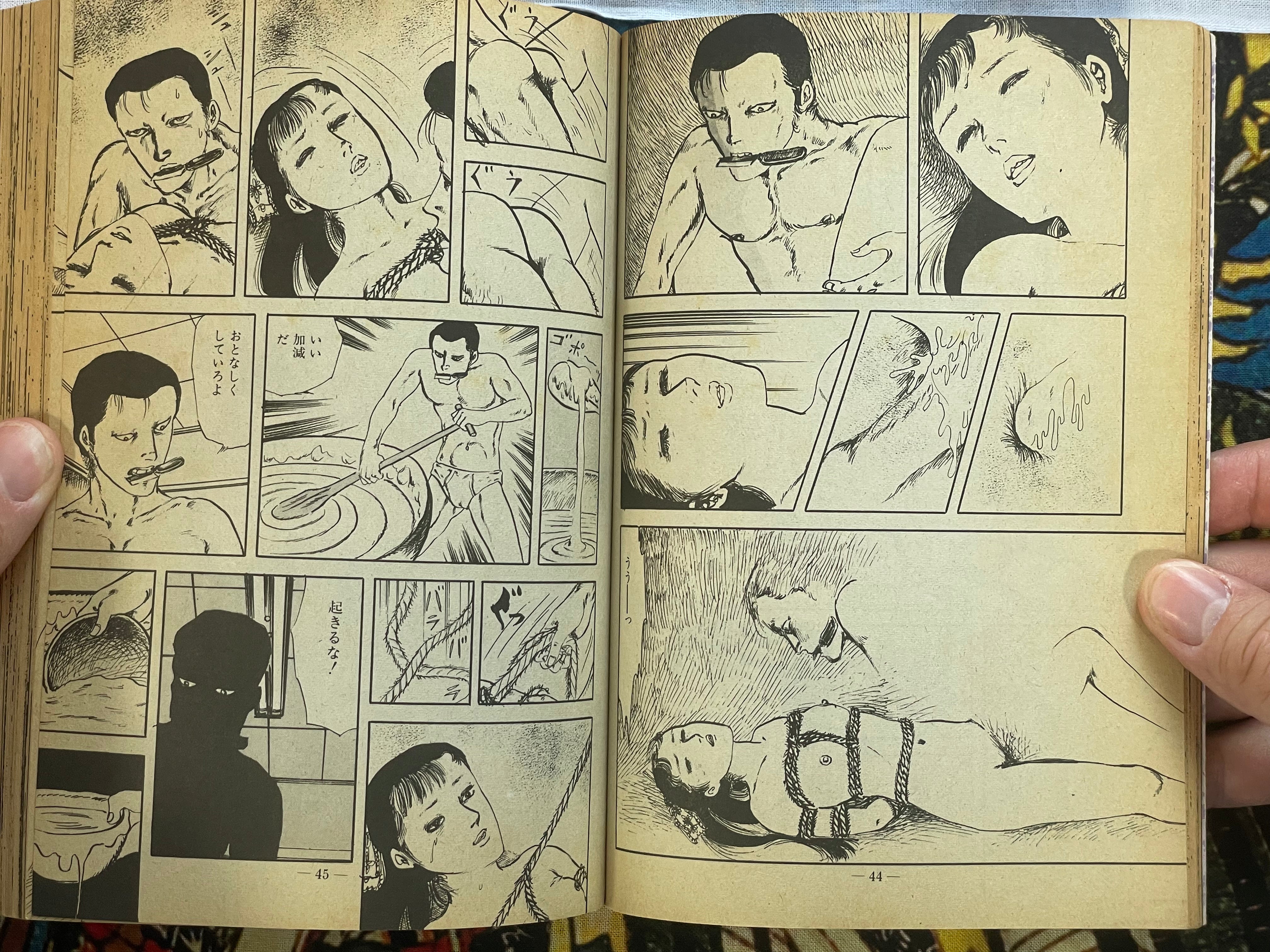 Young Girl Yumemachigusa by Shinichi Muraso (1984)