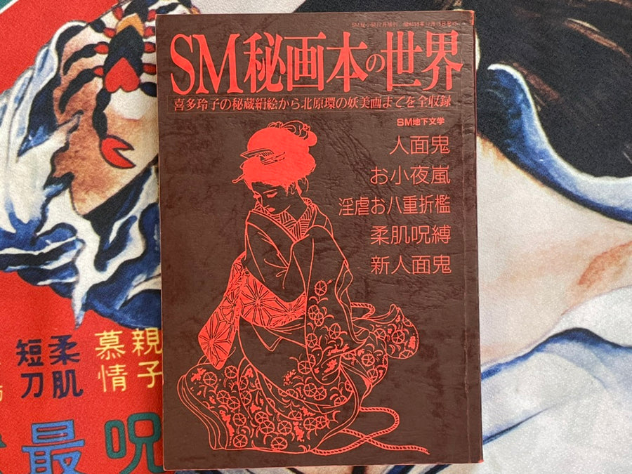 SM Higa Book World: SM Secret Novel Extra Edition (1984)