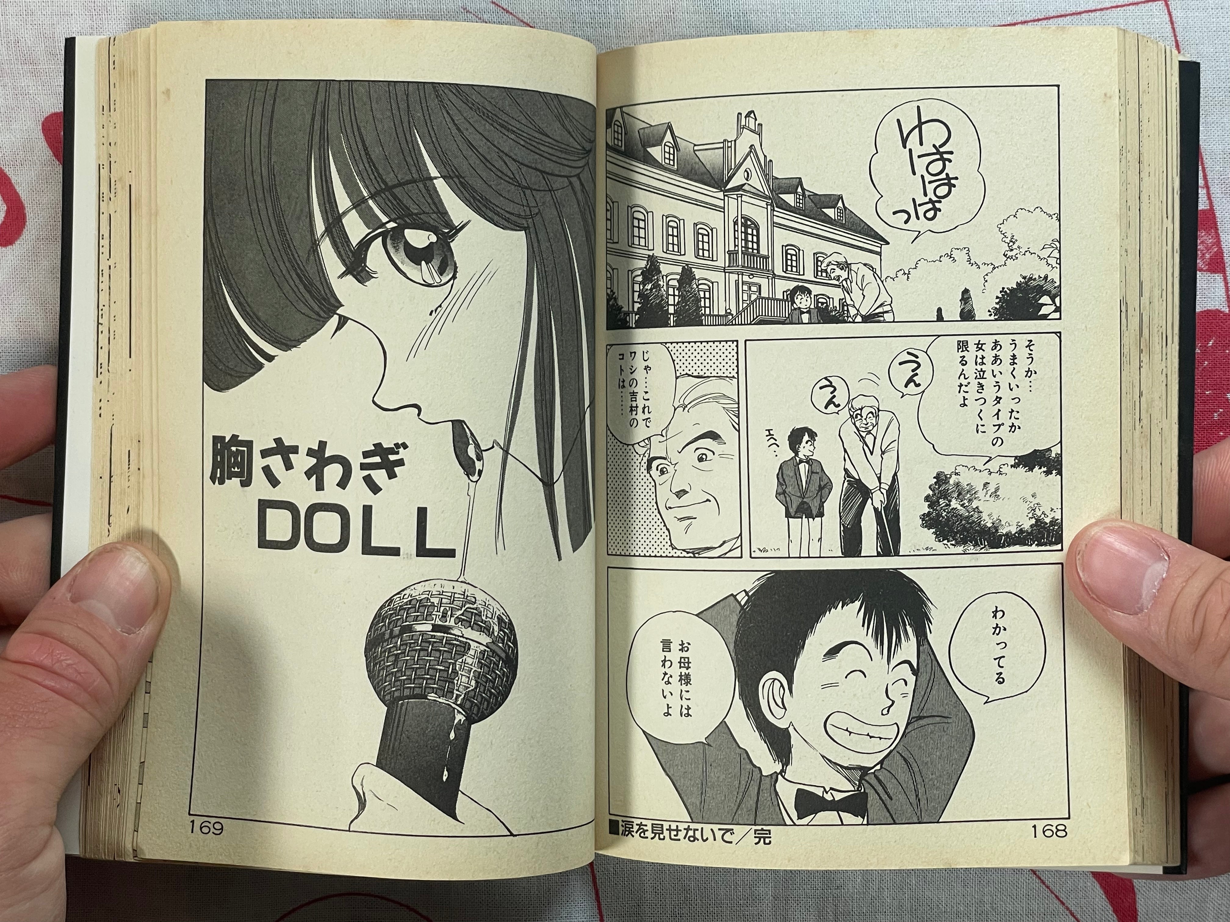 Heart Pounding Lesson - bunko size by Sakabe Noriko (1994)