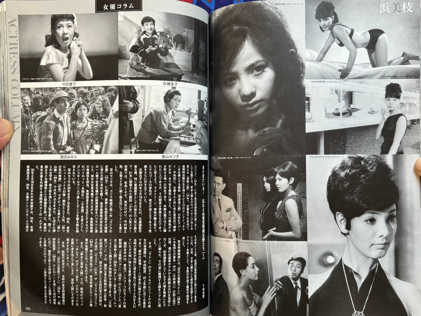 Toho Tokusatsu Actress Big Collection (2011)