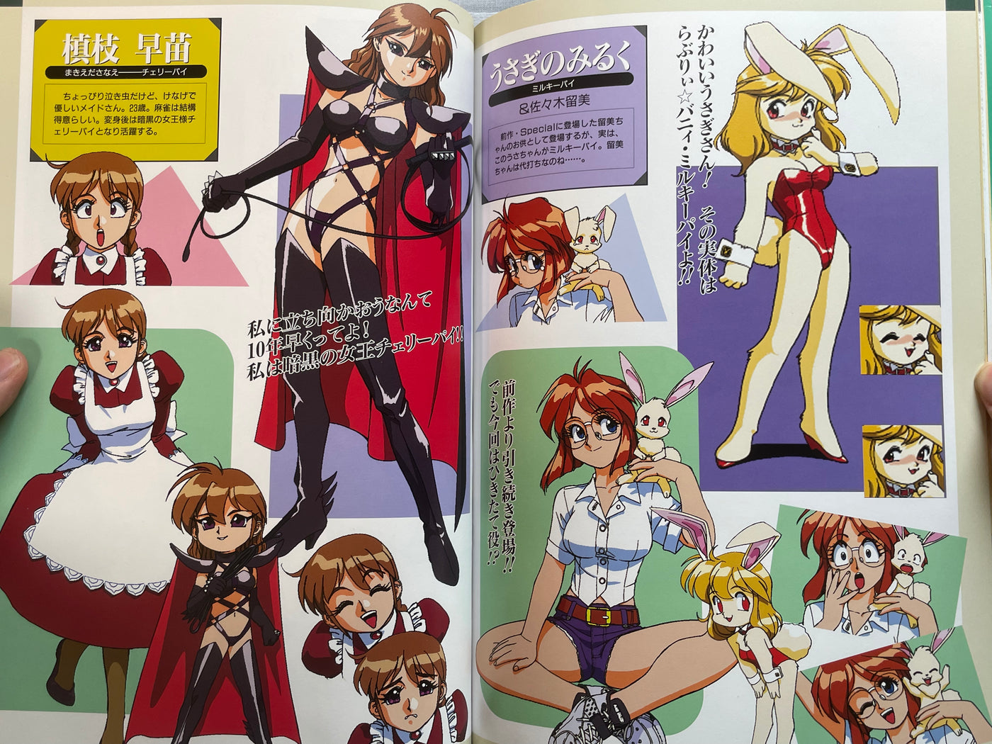 Idol Janshi Suchie-Pai (1995) by Sonoda Kenichi
