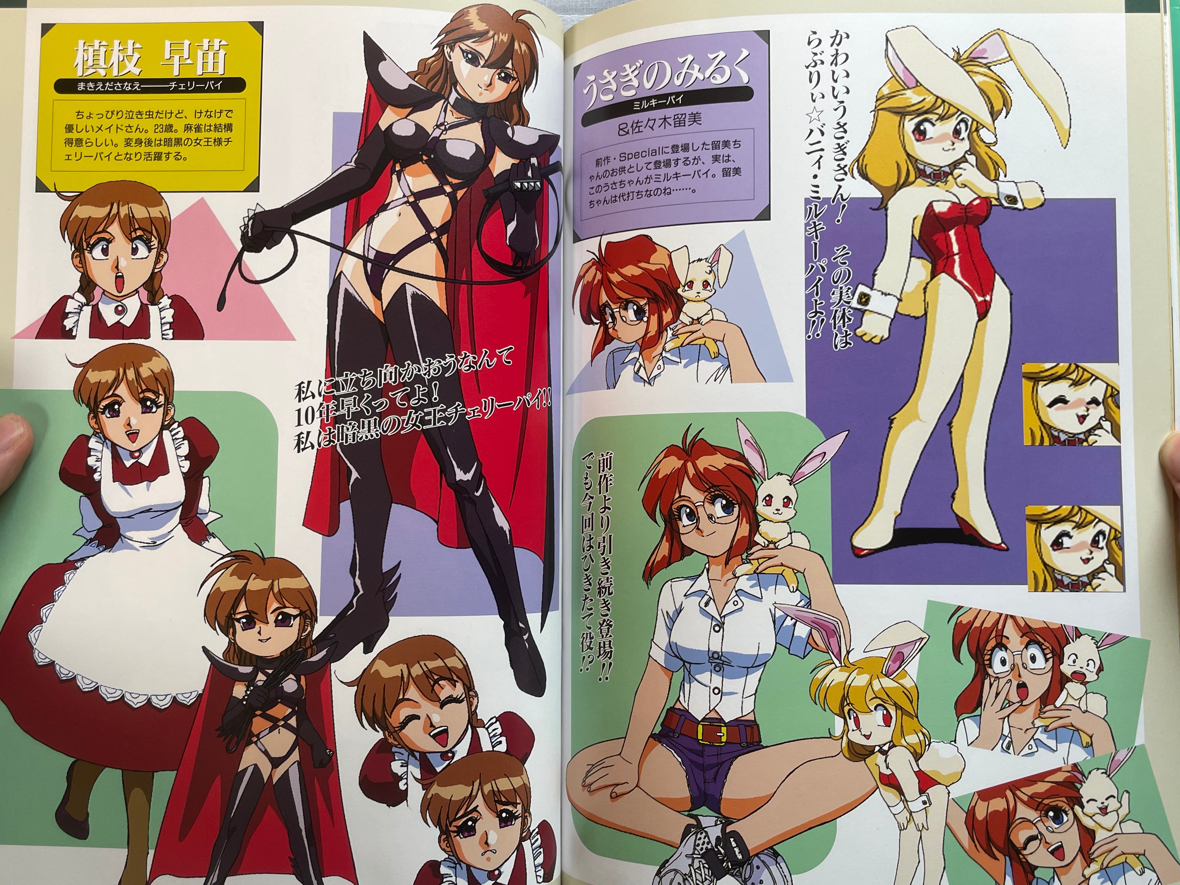 Idol Janshi Suchie-Pai (1995) by Sonoda Kenichi