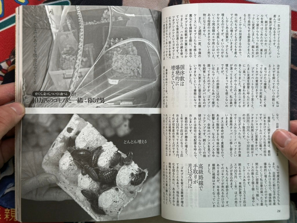 Uramono Japan Magazine (2023/11)