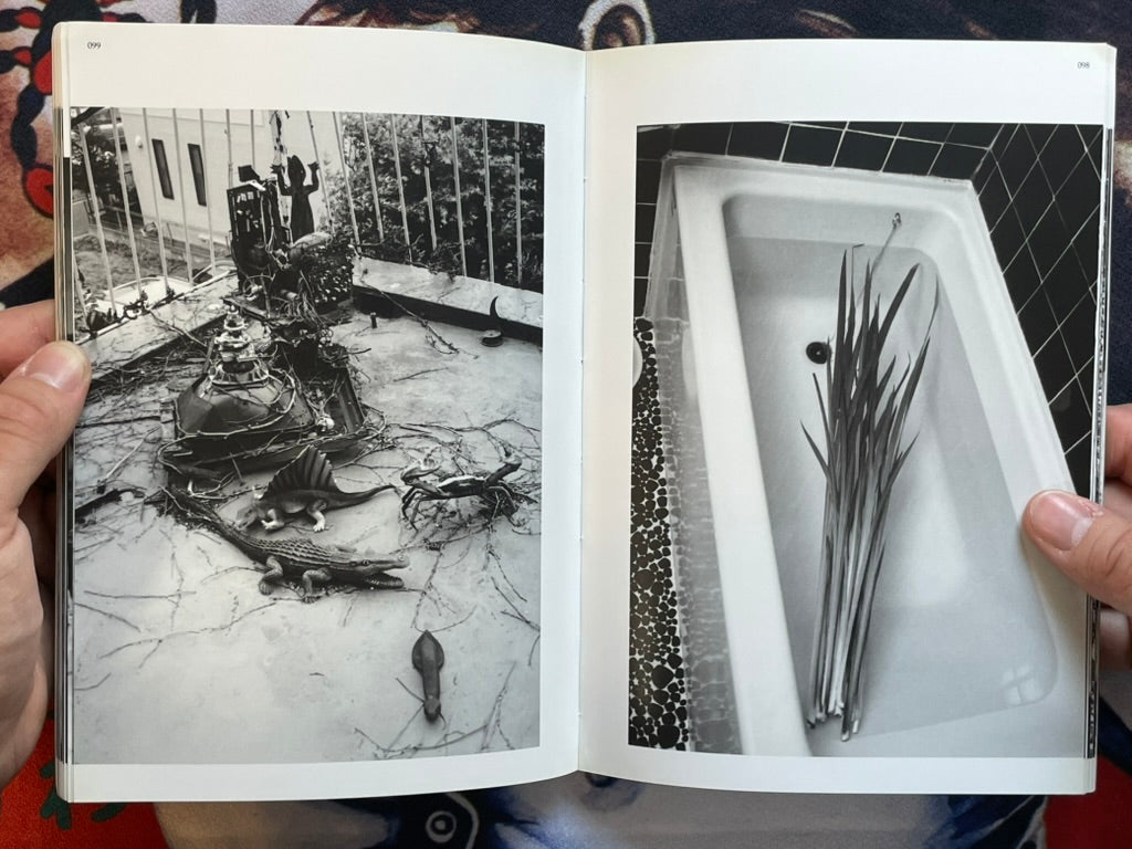Morphine Doesn't Work in May - Slipcover by Araki Nobuyoshi (2004)