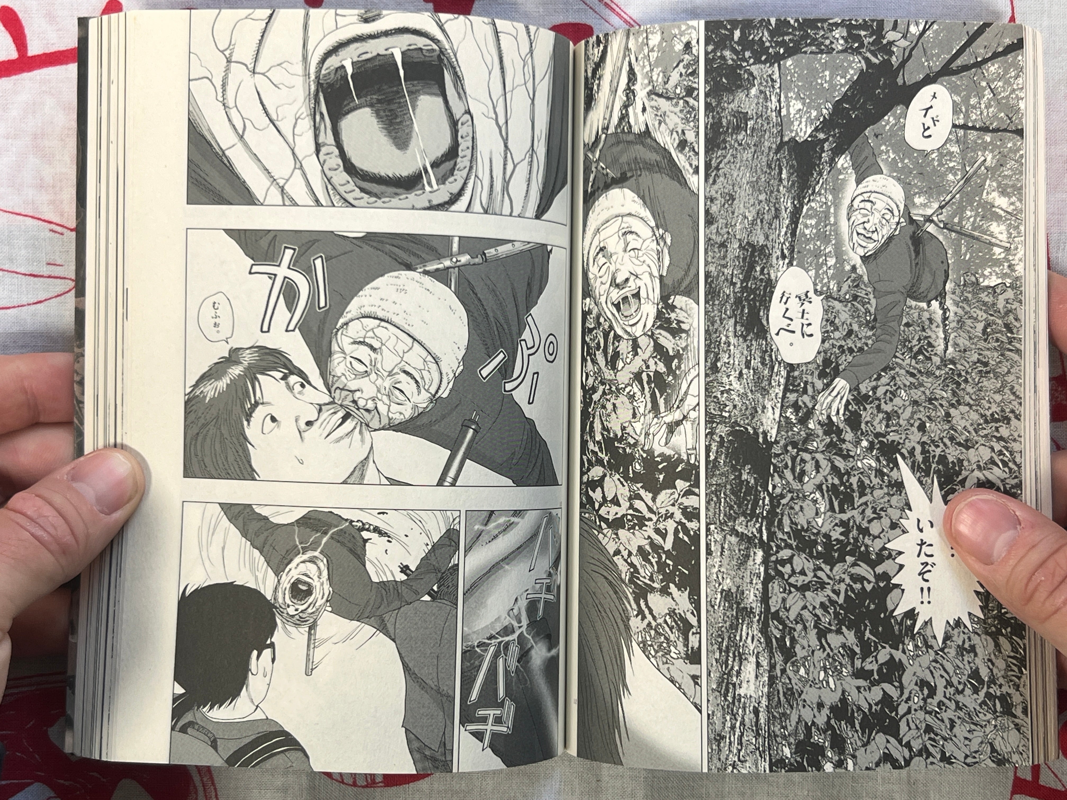 I am a Hero in Ibaraki by Kengo Hanazawa & Yuuki Honda (2017)-thumbmail-6