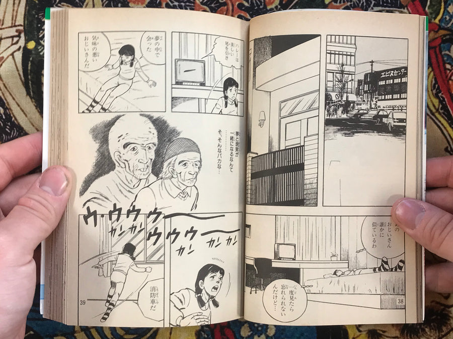 Mural Painted With Blood by Shintaro Michi (1987)