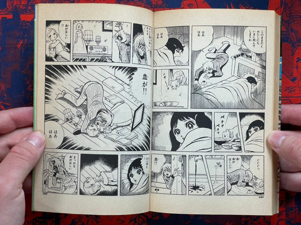 Lightning Girl by Koga Shinichi (1984)