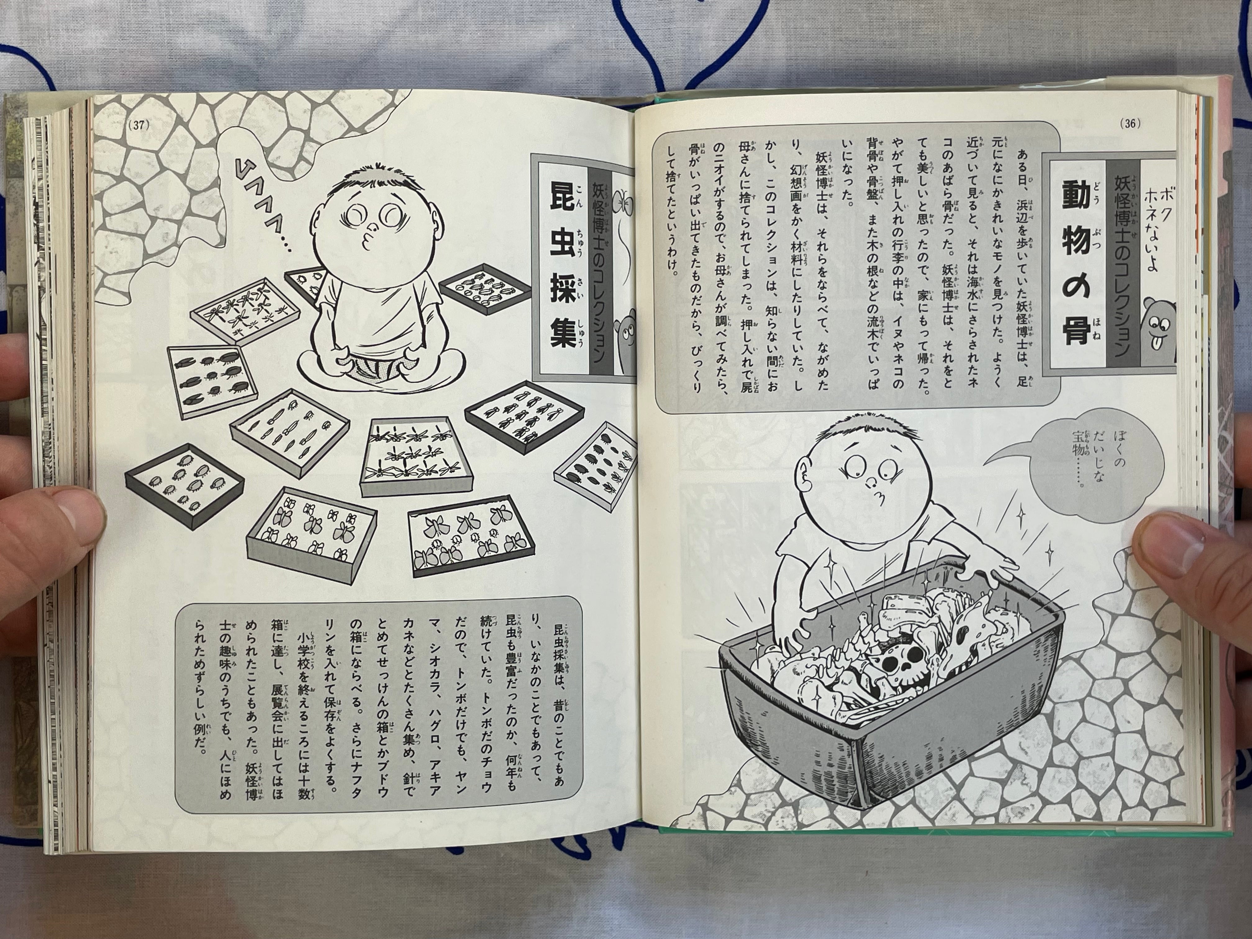 Introductory Yokai Professor - Hardcover by Mizuki Shigeru (1989)