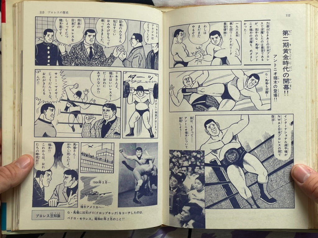 Pro Wrestling Encyclopedia - Hardcover by Antonio Inoki (1971)